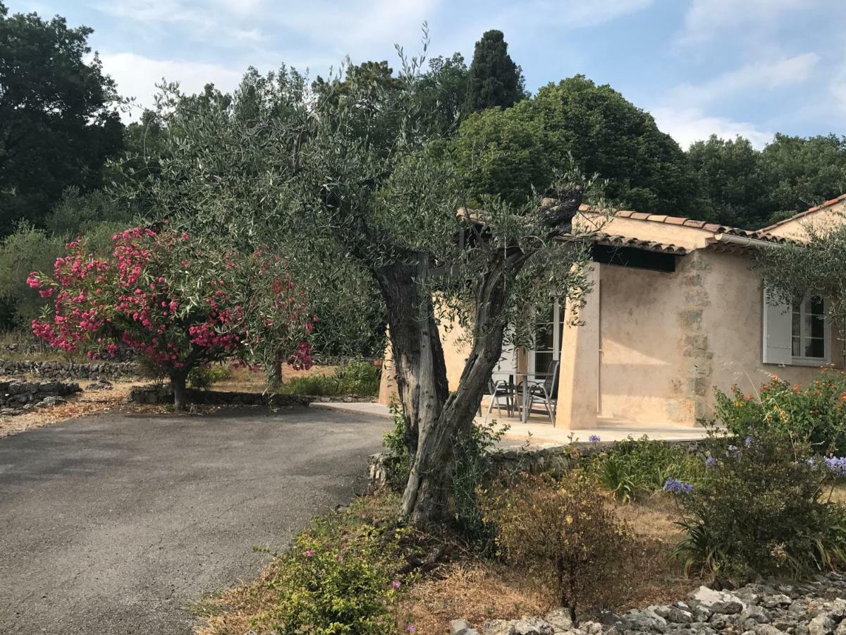 Du Sud *
