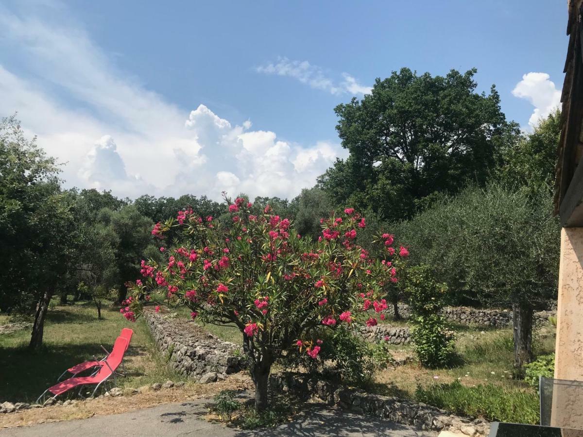 Du Sud * Vence