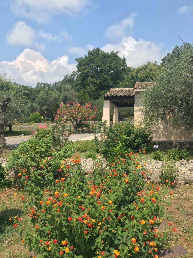Du Sud * Vence