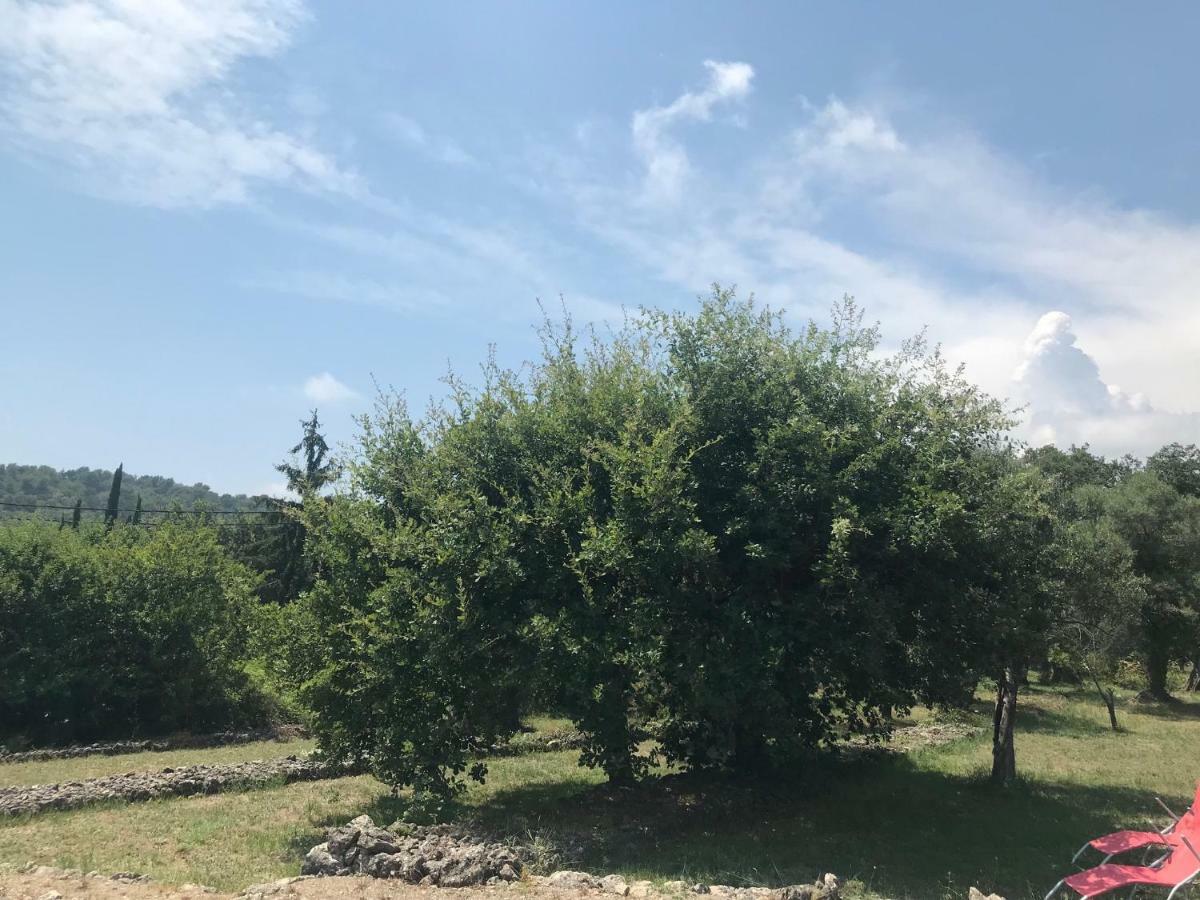 Du Sud Holiday home Vence