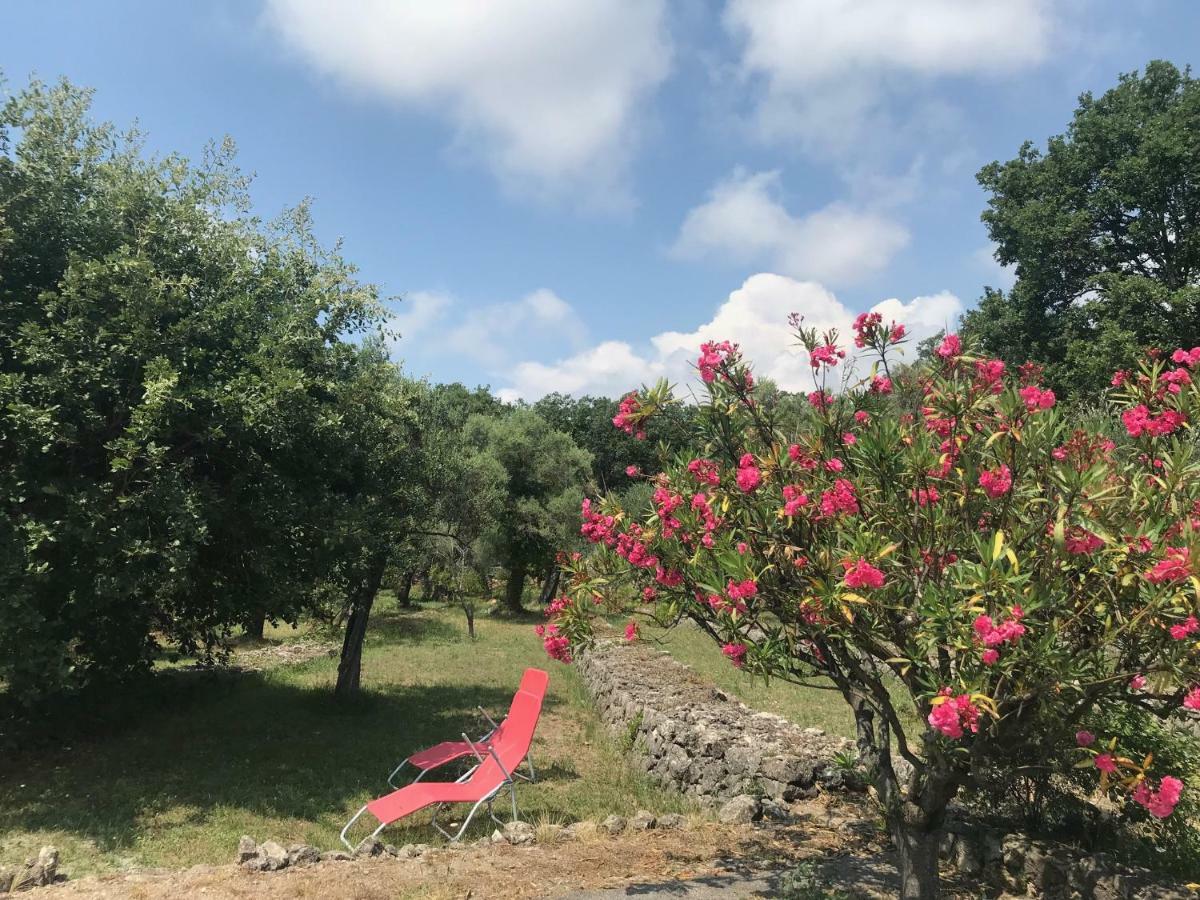 Du Sud * Vence